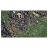 Tire Chain--Four Miscellaneous Chains