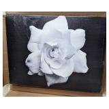 Trademark Fine Art Kurt Shaffer Gardenia in Black and White Canvas Wall Art