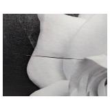 Trademark Fine Art Kurt Shaffer Gardenia in Black and White Canvas Wall Art