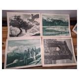 1914 Northern Pacific Railway Yellowstone National Park Prints