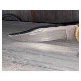 Buck 110 Folding Hunting Knife