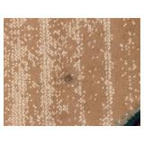 5 x 8 Area Rug, Earth Tones