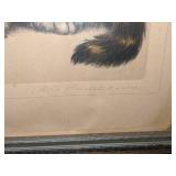 Meta Pluckebaum "Sweet Tooth" Etched & Hand Colored Print of Cats