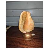 Conch Shell Night Light