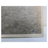 Large Old Original Burlington Route Railroad Train Photo w/Info