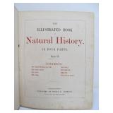 Orig Antique 1850