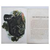 Orig Antique 1850