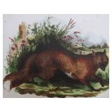 Orig Antique 1850