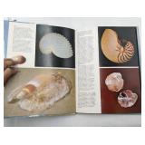 5 Rare Vintage and Antique Books-Native American Nations Ask 