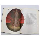 6 Rare Vintage and Antique Books