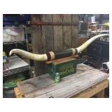 Large Steer Horn Mount - 56"