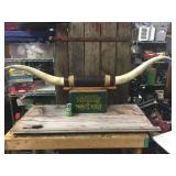 Large Steer Horn Mount - 56"