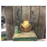 Pronghorn Antelope Horn Mount