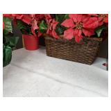 Set of (6) Artificial Poinsettias, Including A Fiber Optic Poinsettia