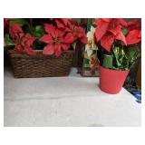Set of (6) Artificial Poinsettias, Including A Fiber Optic Poinsettia