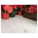 Set of (6) Artificial Poinsettias, Including A Fiber Optic Poinsettia