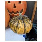 Halloween/Fall Decor: Pumpkins and More!