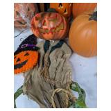 Halloween/Fall Decor: Pumpkins and More!