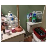 Bathroom Items: Tub and Shower Cleaner, Soap, Shampoo, Hair Dye, Medicines, and More!