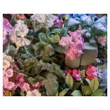 Large Assortment of Faux Plants and Planters