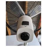 Tall White Adjustable Fan
