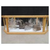 GORGEOUS SILVER FOX / 8PT. EUROPEAN GLASS CASE/COFFEE TABLE MOUNT