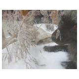 GORGEOUS SILVER FOX / 8PT. EUROPEAN GLASS CASE/COFFEE TABLE MOUNT
