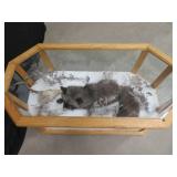 GORGEOUS SILVER FOX / 8PT. EUROPEAN GLASS CASE/COFFEE TABLE MOUNT