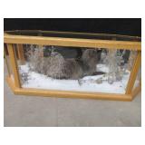 GORGEOUS SILVER FOX / 8PT. EUROPEAN GLASS CASE/COFFEE TABLE MOUNT