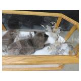 GORGEOUS SILVER FOX / 8PT. EUROPEAN GLASS CASE/COFFEE TABLE MOUNT