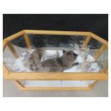 GORGEOUS SILVER FOX / 8PT. EUROPEAN GLASS CASE/COFFEE TABLE MOUNT