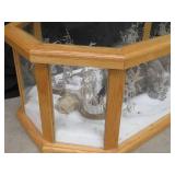 GORGEOUS SILVER FOX / 8PT. EUROPEAN GLASS CASE/COFFEE TABLE MOUNT
