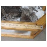 GORGEOUS SILVER FOX / 8PT. EUROPEAN GLASS CASE/COFFEE TABLE MOUNT