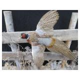 UNIQUE PHEASENT MOUNT