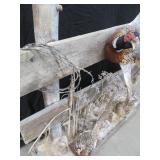 UNIQUE PHEASENT MOUNT