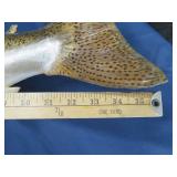 25 LB KING SAMON MOUNT