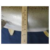 25 LB KING SAMON MOUNT