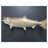 25 LB KING SAMON MOUNT
