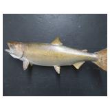 25 LB KING SAMON MOUNT