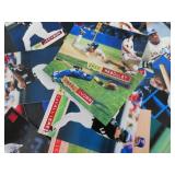 93 / 94 STADIUM CARDS