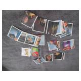 175. 73 1991 WWF Wrestling Merlin S...
