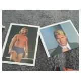 175. 73 1991 WWF Wrestling Merlin S...