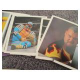 175. 73 1991 WWF Wrestling Merlin S...