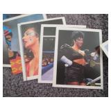 175. 73 1991 WWF Wrestling Merlin S...