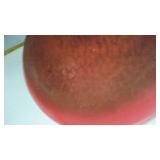 Le Creuset Painted Cast