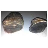 4 Fabulous Rocks  Some Fossils