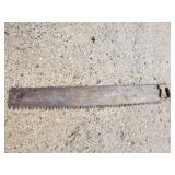 Old Tree Saw