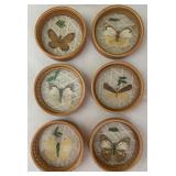 Vintage Butterfly Themed Tray and Matching Coasters