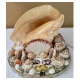 Sensational Seashell Lamp
