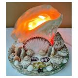 Sensational Seashell Lamp